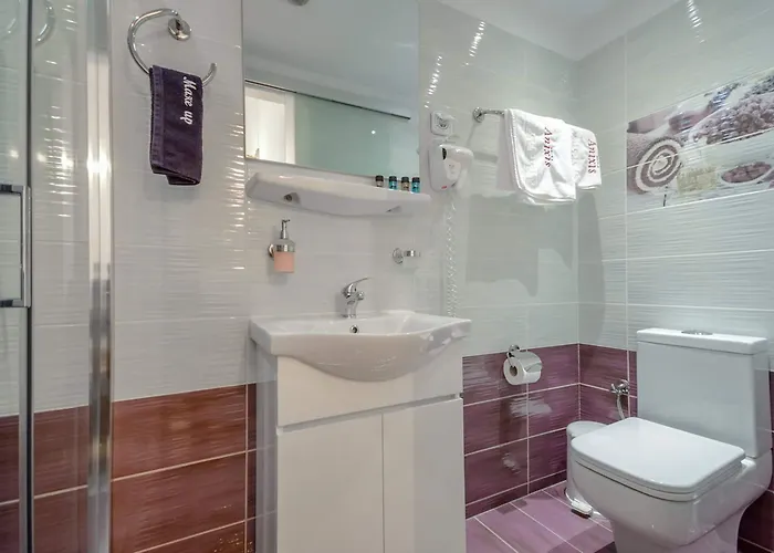 Anixis Lägenhetshotell *