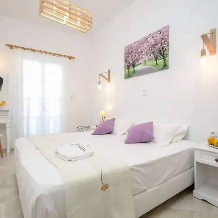 Anixis מלון דירות Naxos City